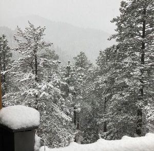 Meet your Posher, Frank